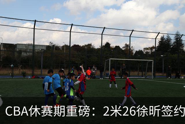 CBA休赛期重磅：2米26徐昕签约顶级经纪公司，全明星票王徐杰70万年薪自费赴美特训